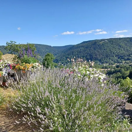 2 Hébergements Différents 1 Avec Deux Et 1 D'hôtes Avec Salon Privé Murat-le-Quaire